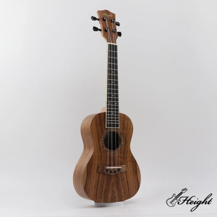 24-tolline kontsert Ukulele