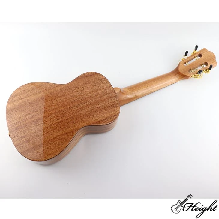 4 Strings Concert Cutaway Top Solid Spruce